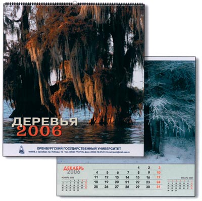 Настенный перекидной календарь Оренбургского Государственного Университета